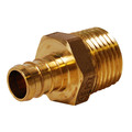 Legend Valve 1/2" PEX X 1/2" MNPT ADAPTER 460-754NL